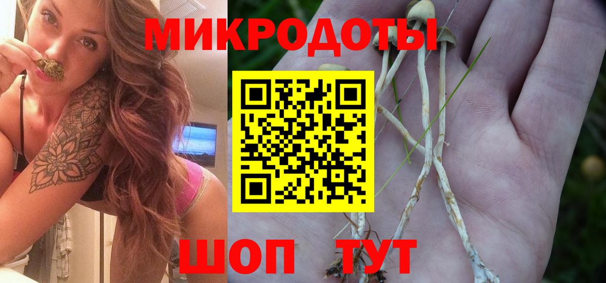 Галлюциногенные грибы мицелий  Вход с VPN  дарнет шоп  Галлюциногенные грибы мицелий  Верхняя Пышма 