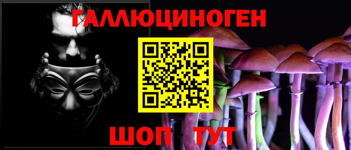 Псилоцибиновые грибы Cubensis Верхняя Пышма